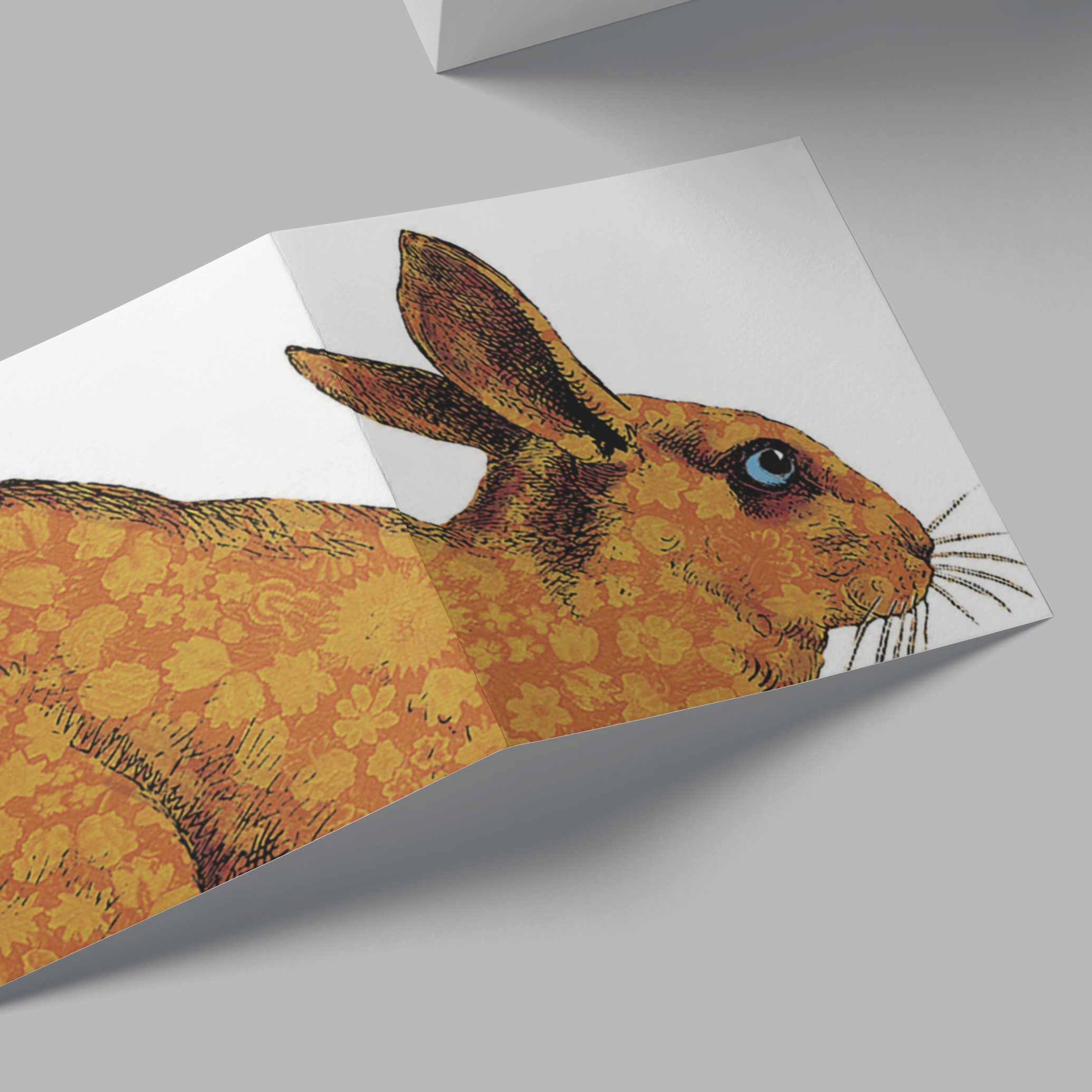 Orange Rabbit Card